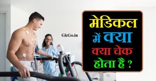 मेडिकल में क्या क्या चेक होता है, मेडिकल चेकअप में क्या क्या चेक होता है, मेडिकल में क्या-क्या चेक होता है, मस्तिष्क कार्यक्षमता और मस्तिष्क की बनावट की जांच, पेट और आंत की स्थिति की जांच, त्वचा की स्वास्थ्य की जांच, मेडिकल में क्या क्या होता है, medical me kya kya check hota hai, मेडिकल जांच में क्या क्या होता है, लड़कियों का मेडिकल टेस्ट कैसे होता है, आर्मी में आंखों का मेडिकल कैसे होता है, मेडिकल टेस्ट क्या होता है, Medical Mein Kya-kya check Hota Hai, मेडिकल में क्या-क्या चेक होता है, ,
