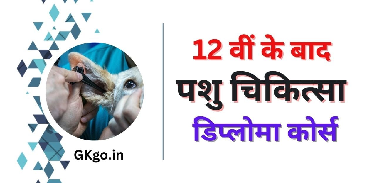 12 वीं के बाद पशु चिकित्सा डिप्लोमा कोर्स, 12 वीं के बाद पशु चिकित्सा पाठ्यक्रम, 12 वीं के बाद मेडिकल कोर्स, पशु चिकित्सा कोर्स के लिए बेस्ट कॉलेज, पशु चिकित्सा कोर्सेज सूची, पशु चिकित्सा कोर्स के लिए योग्यता, वेटरनरी कोर्स कितने साल का होता है, पशु चिकित्सक कौन बन सकता है,