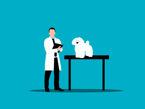 animal treatment