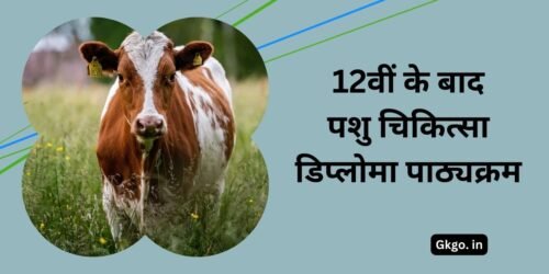 12वीं के बादशु चिकित्सा डिप्लोमा पा