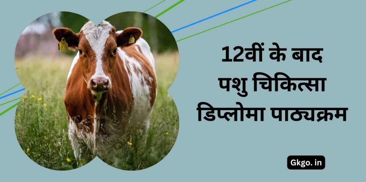 12वीं पास करने के बाद पशु चिकित्सा नौकरियां , Veterinary diploma courses after 12th , veterinary diploma courses after 12th in hindi , veterinary diploma courses after 12th in india , 12वीं में आर्ट के बाद पशु चिकित्सा Syllabus , 12वीं के बाद पशु चिकित्सा डिप्लोमा पाठ्यक्रम , 12वीं के बाद पैरामेडिकल कोर्स , 12 वीं के बाद पशु चिकित्सा डिप्लोमा कोर्स , 12 वीं के बाद पशु चिकित्सा पाठ्यक्रम , 12वीं विज्ञान के बाद पशु चिकित्सा सिलेबस ,
