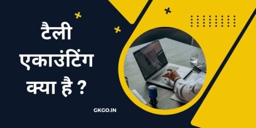 टैली एकाउंटिंग क्या है, टैली एकाउंटिंग क्या है in hindi, tally accounting kya hai, tally accounting kya hai in hindi, tally me accounting kya hai, tally accounting kya hota hai, टैली एकाउंटिंग, टैली एकाउंटिंग कोर्स, एकाउंटिंग क्या है हिंदी, tally accounting kaise sikhe,
