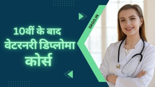 veterinary diploma courses after 10th, 10वीं के बाद पशु चिकित्सा डिप्लोमा पाठ्यक्रम, veterinary diploma courses after 10th near me, veterinary diploma courses after 10th in india, veterinary courses after 10th, veterinary diploma courses, veterinary diploma courses after 12th, veterinary diploma courses in maharashtra, veterinary diploma after 10th, वेटरनरी डिप्लोमा कोर्स क्या है, वेटरनरी डिप्लोमा के प्रमुख फायदे, वेटरनरी डिप्लोमा के बाद करियर विकल्प, करियर में सफलता के लिए टिप्स,